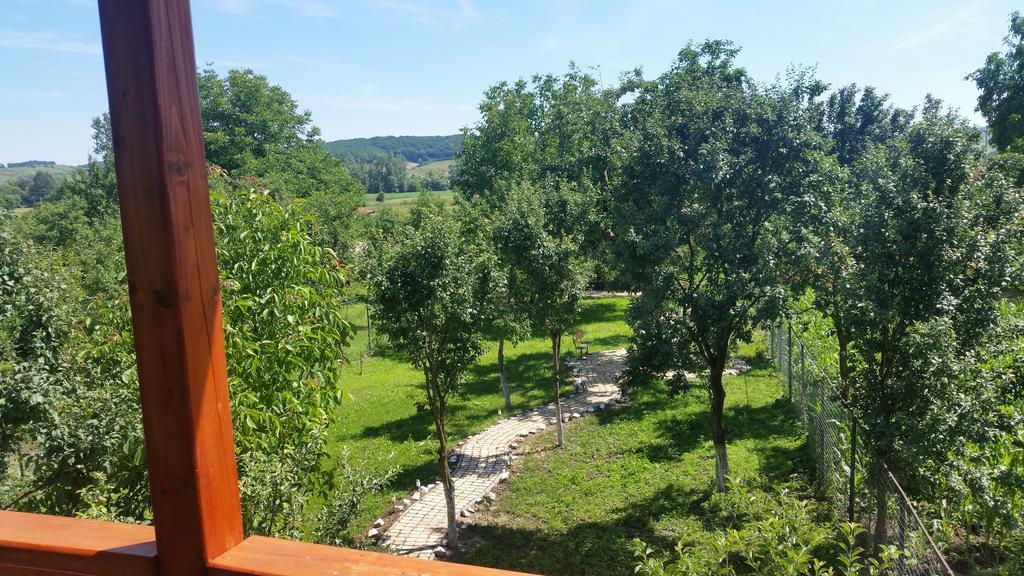 Casa Agnes Vendeghaz Fantanele (Mures) Exterior foto